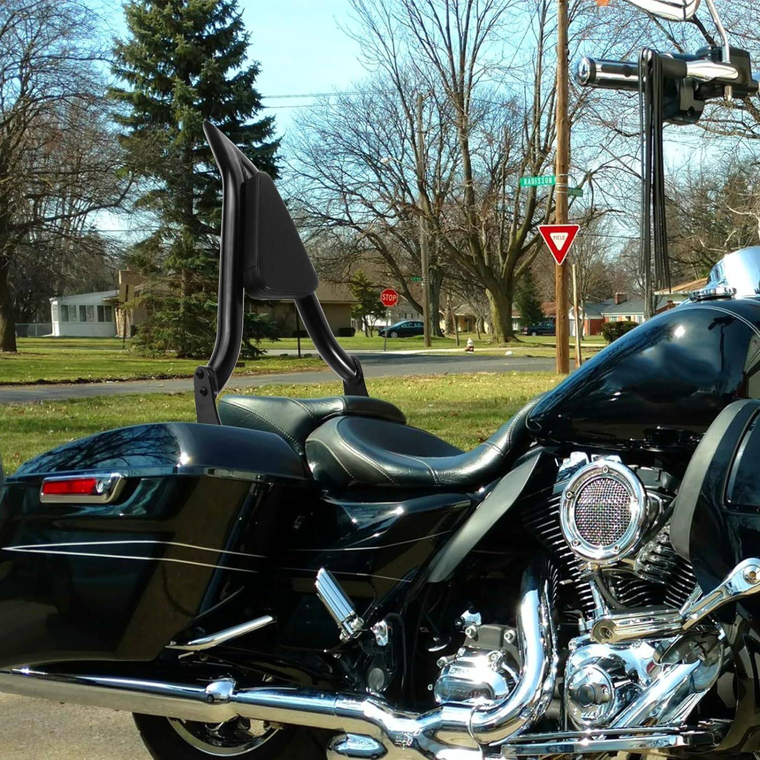 Harley Davidson Road King Detachable 16\" Sissy Bar with Pointed Backrest
