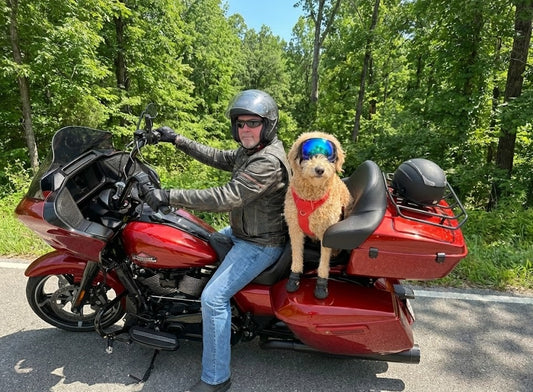 Chrome Motorcycle Trunk Luggage Rack for Harley Davidson Touring 1984-2024 | Compatible with Road Glide, Road King, Street Glide, CVO