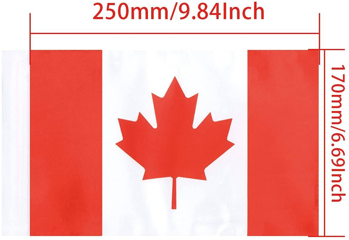 Canada Flag 6 x 9 inch suitable for Flag Mount Pole1